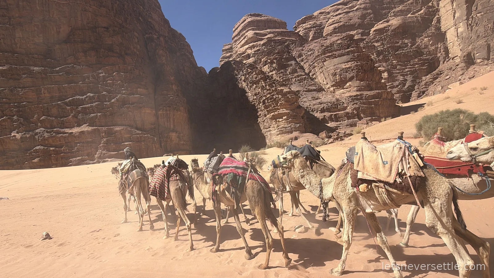 A line of saddled camels walking across the red sand of Wadi Rum with tall sandstone cliffs behind them