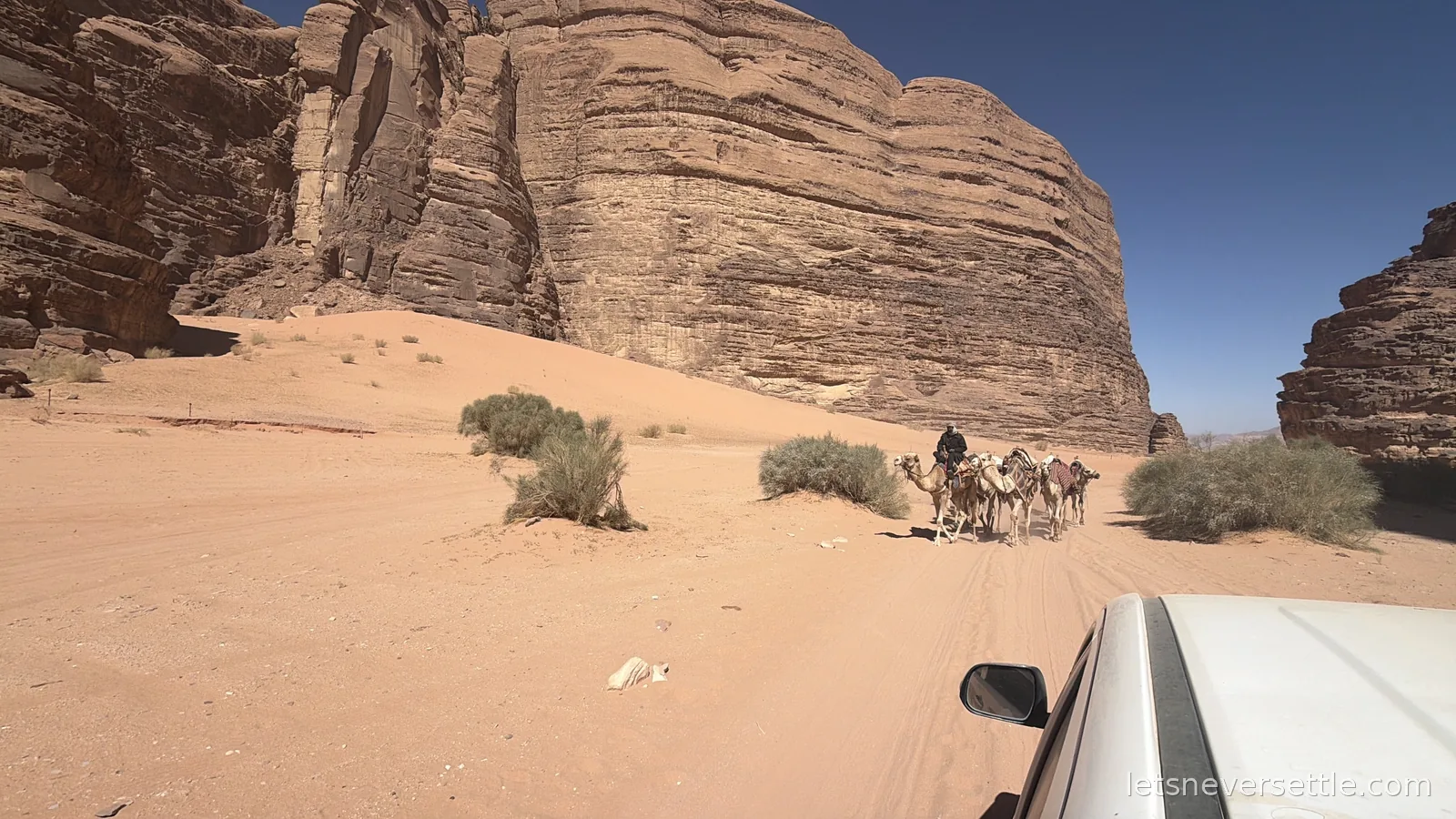 View over the bonnet of a white pickup in Wadi Rum, a herder leading a string of camels along the sandy track ahead