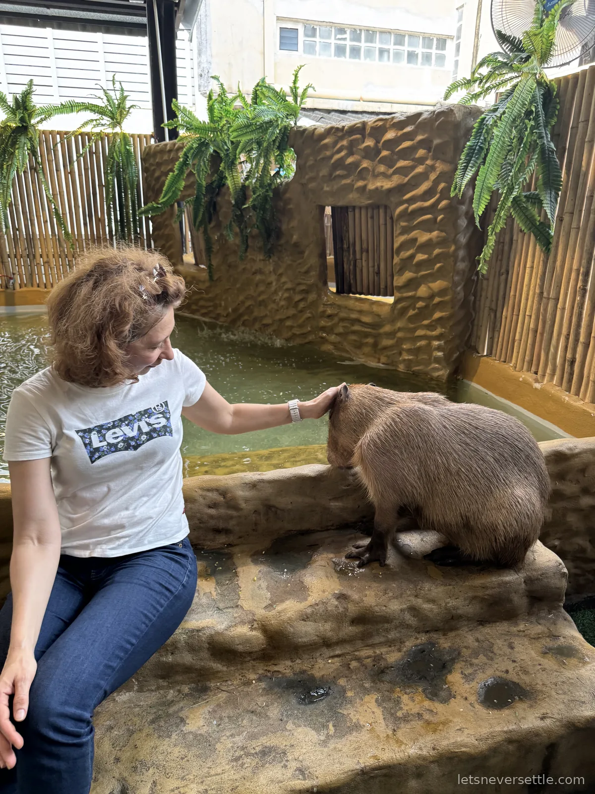 Inga sitting on a rock ledge beside a shallow indoor pool, reaching out to stroke a capybara standing at the water's edge