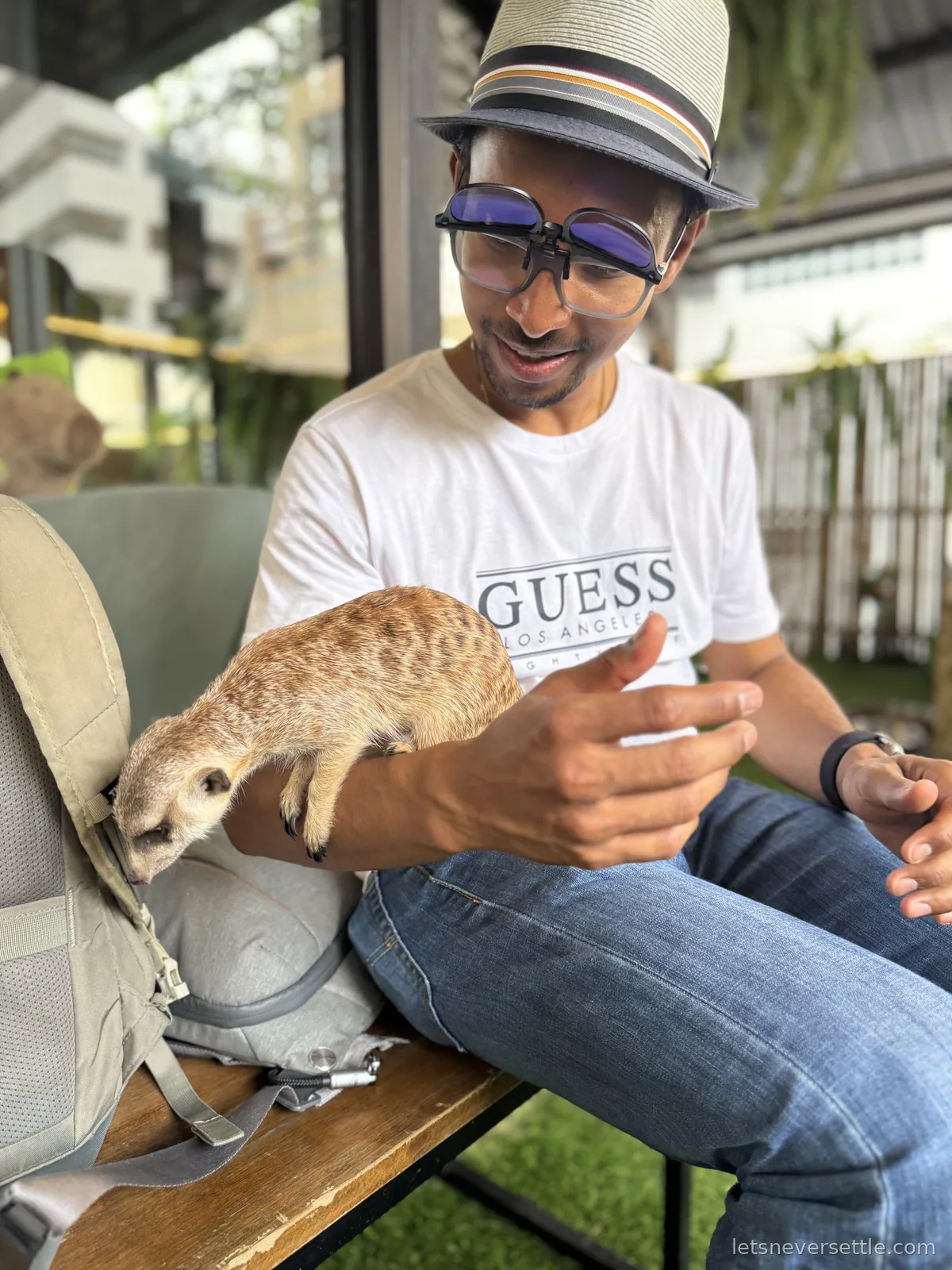Dileep in a straw trilby laughing as a meerkat climbs over his arm and onto the backpack beside him on a bench