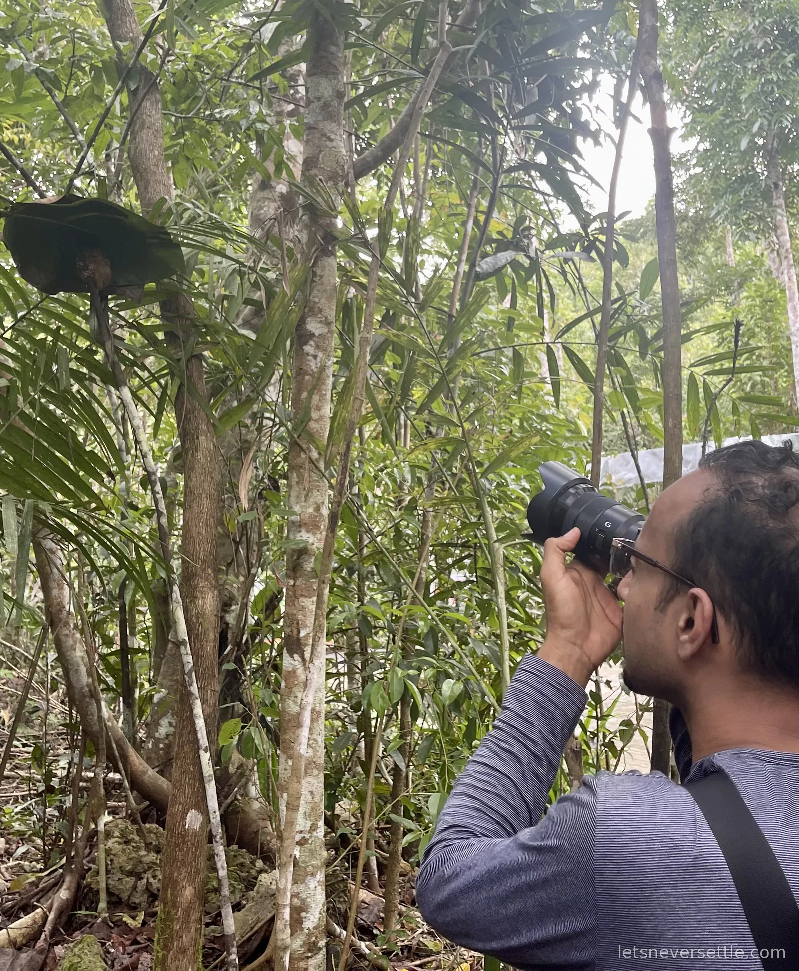 Dileep standing in dense jungle at the Bohol tarsier sanctuary with a camera raised to his eye, aiming up into the branches