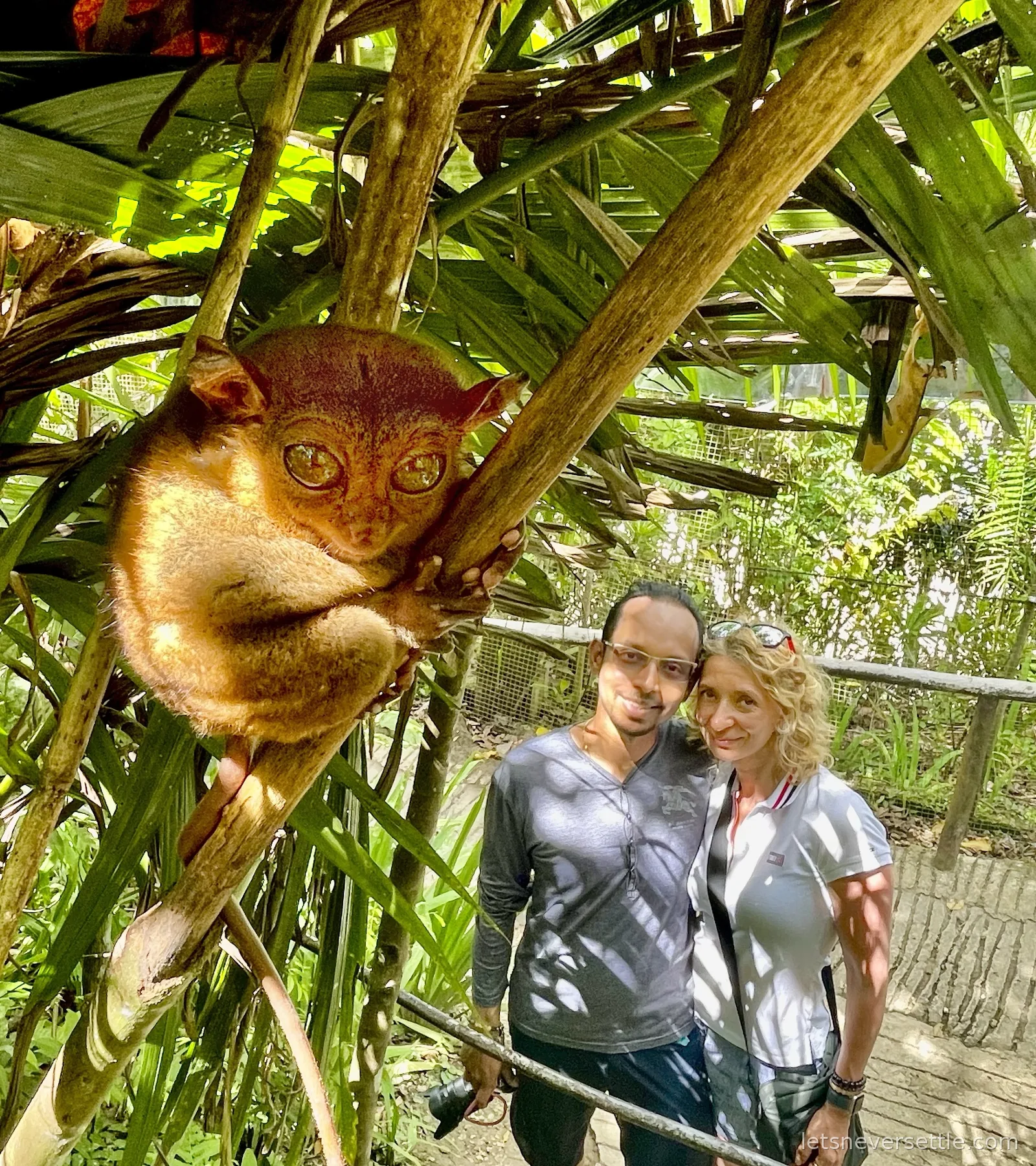 A tarsier with huge amber eyes gripping a branch in the foreground while Inga and Dileep stand on the walkway behind