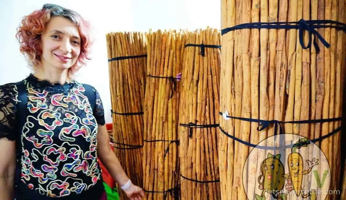 Inga standing beside tall bundles of cinnamon quills tied with cord at a workshop in Sri Lanka