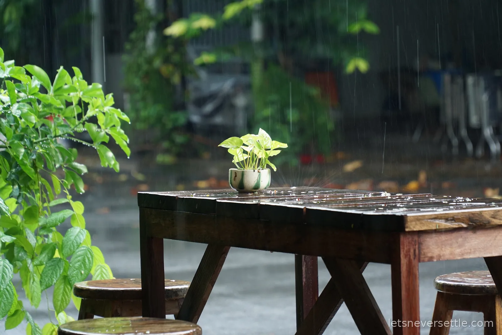 Heavy rain falling on an empty wooden table and stools outside a cafe, with a small potted plant in the middle of the table and wet green foliage behind