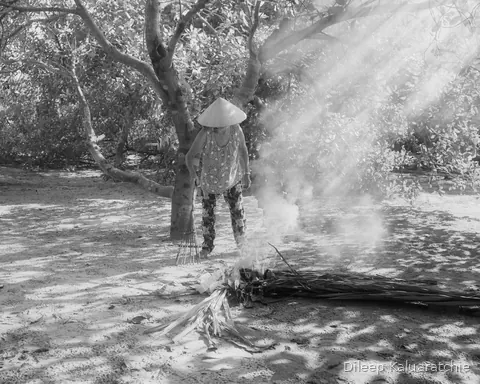 Black and white: a figure in a conical hat tending a smouldering fire, sunbeams cutting through the trees