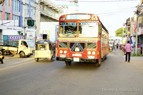 Colourful transport of Sri Lanka