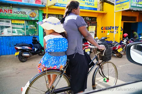 Colourful transport of Sri Lanka