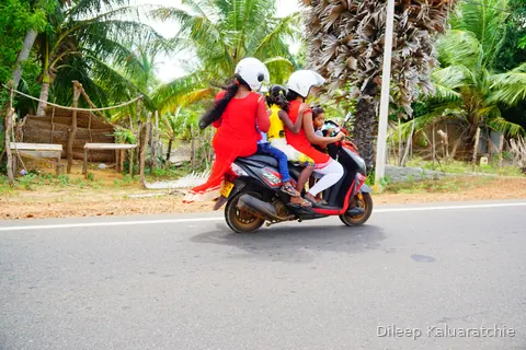 Colourful transport of Sri Lanka