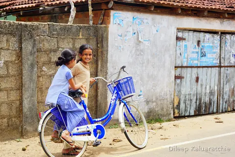 Colourful transport of Sri Lanka
