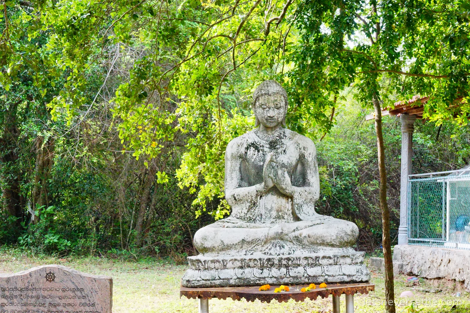A weathered grey stone seated Buddha with hands together, standing under a spreading tree with marigolds laid at its base