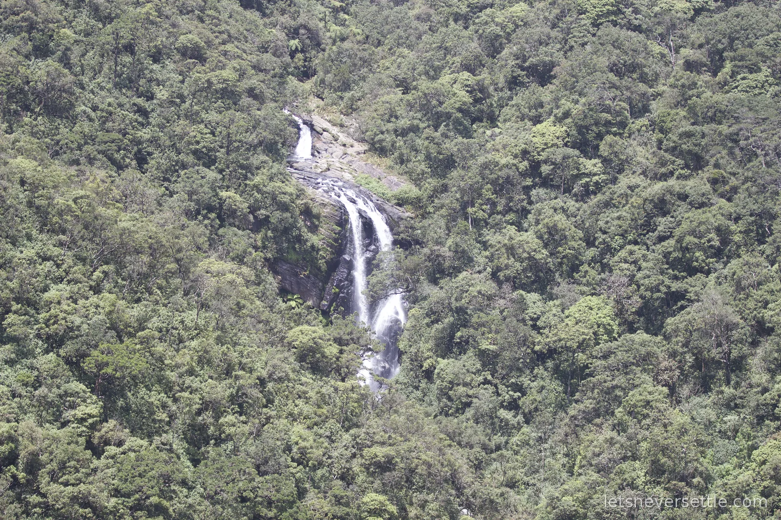 A white waterfall threading down through thick green forest