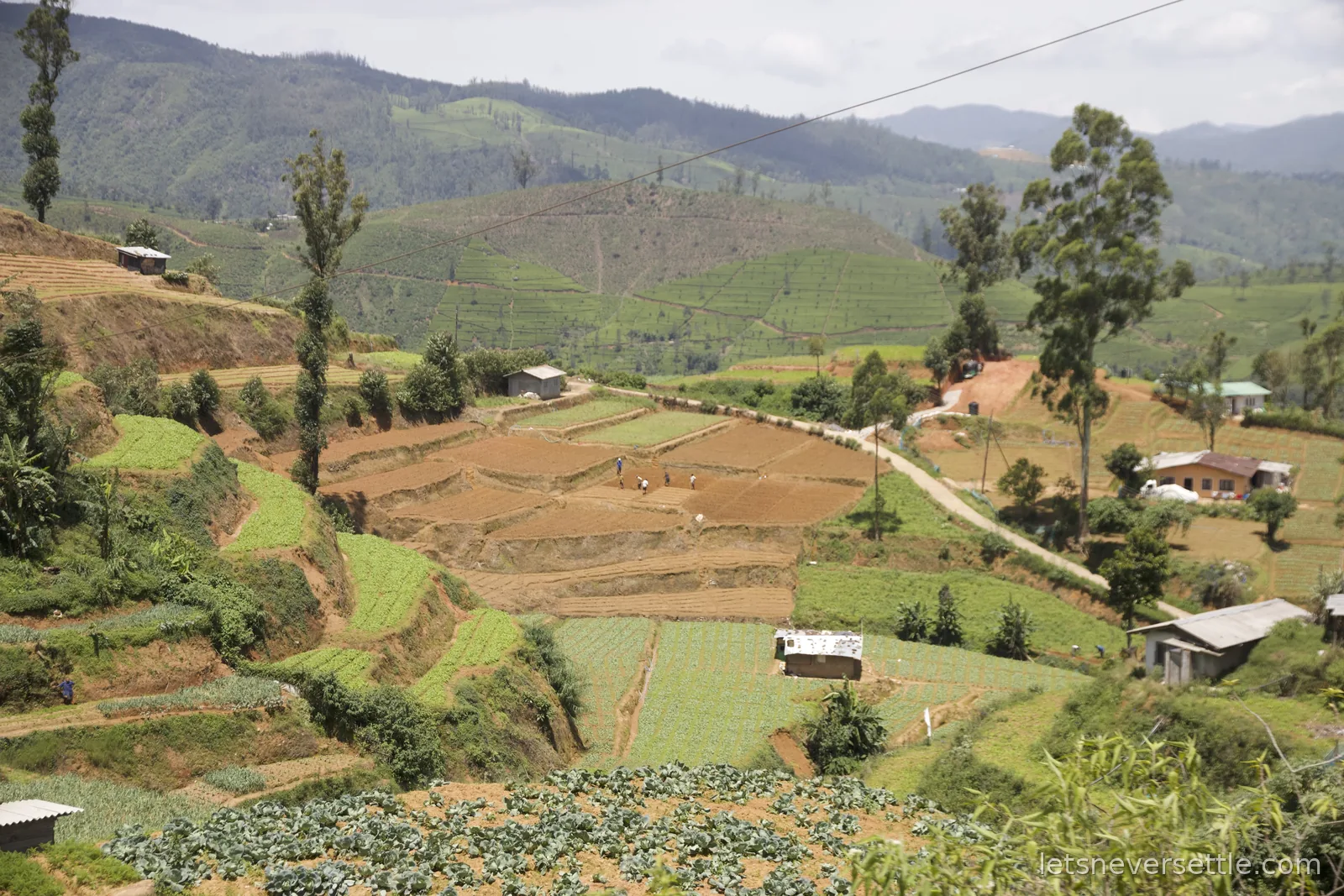 Terraced vegetable plots and small farmhouses covering a hillside with wooded ridges beyond