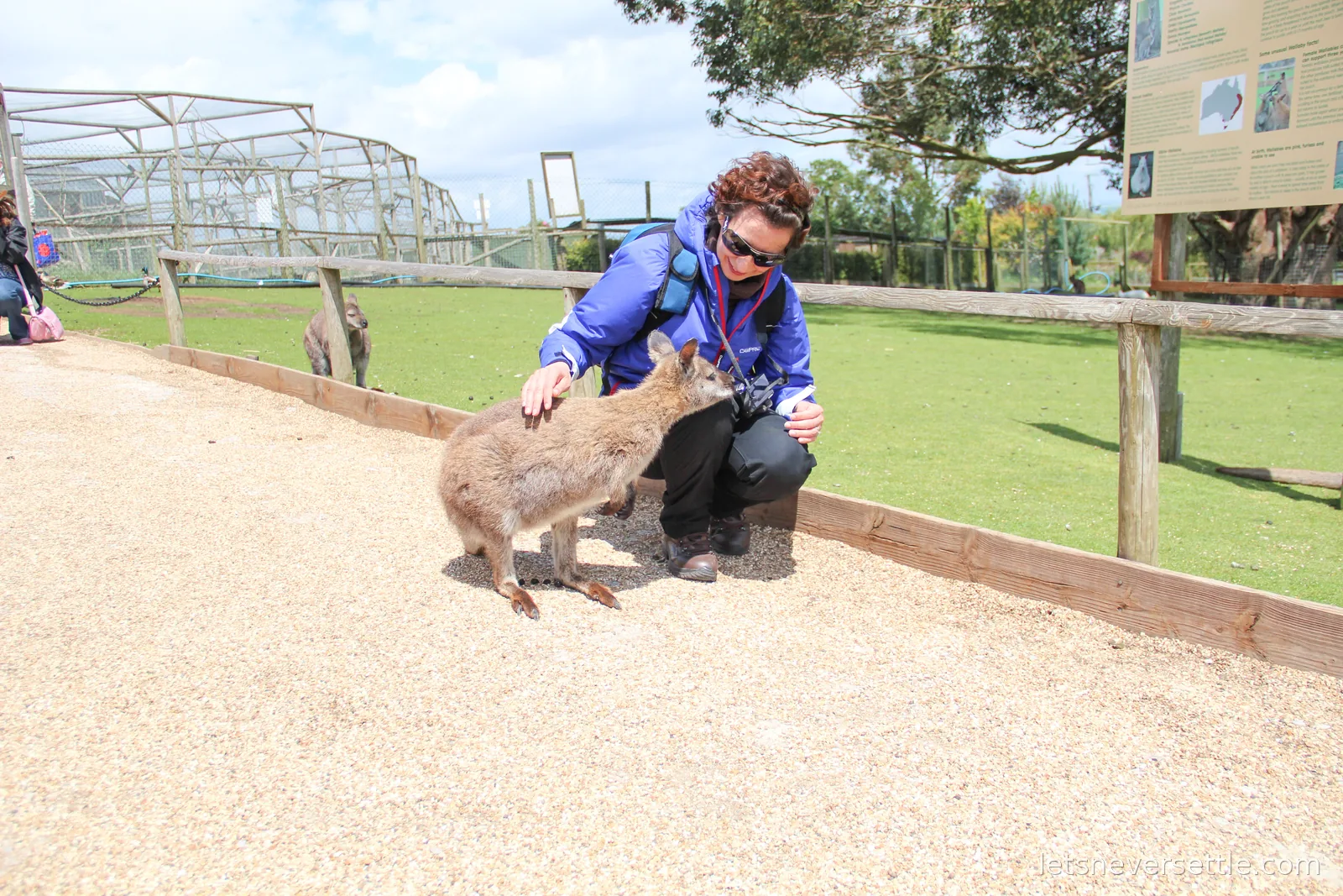 Inga in a blue jacket crouching to stroke a young wallaby beside a paddock fence