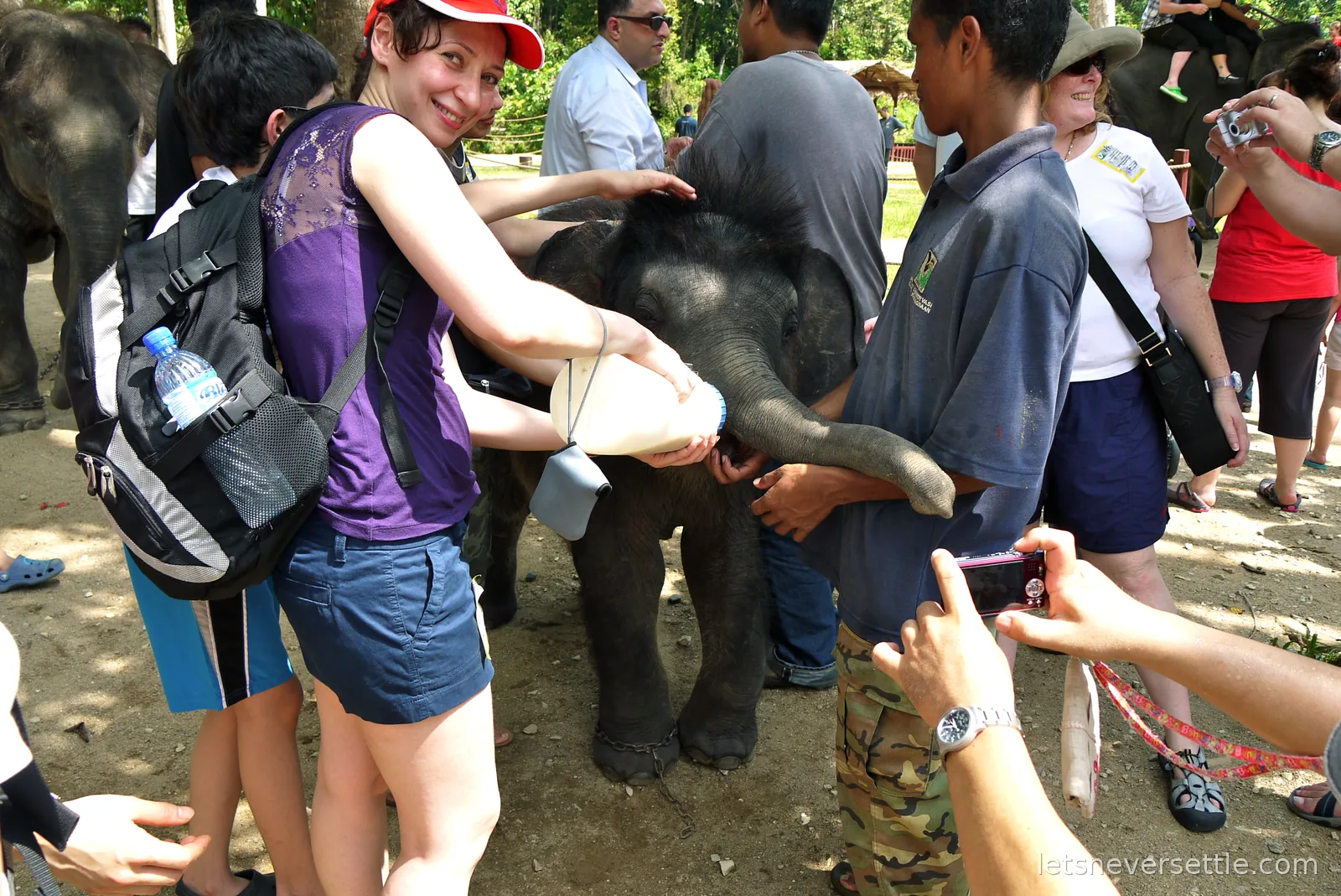 Inga bottle-feeding a baby elephant with a keeper standing by at Kuala Gandah