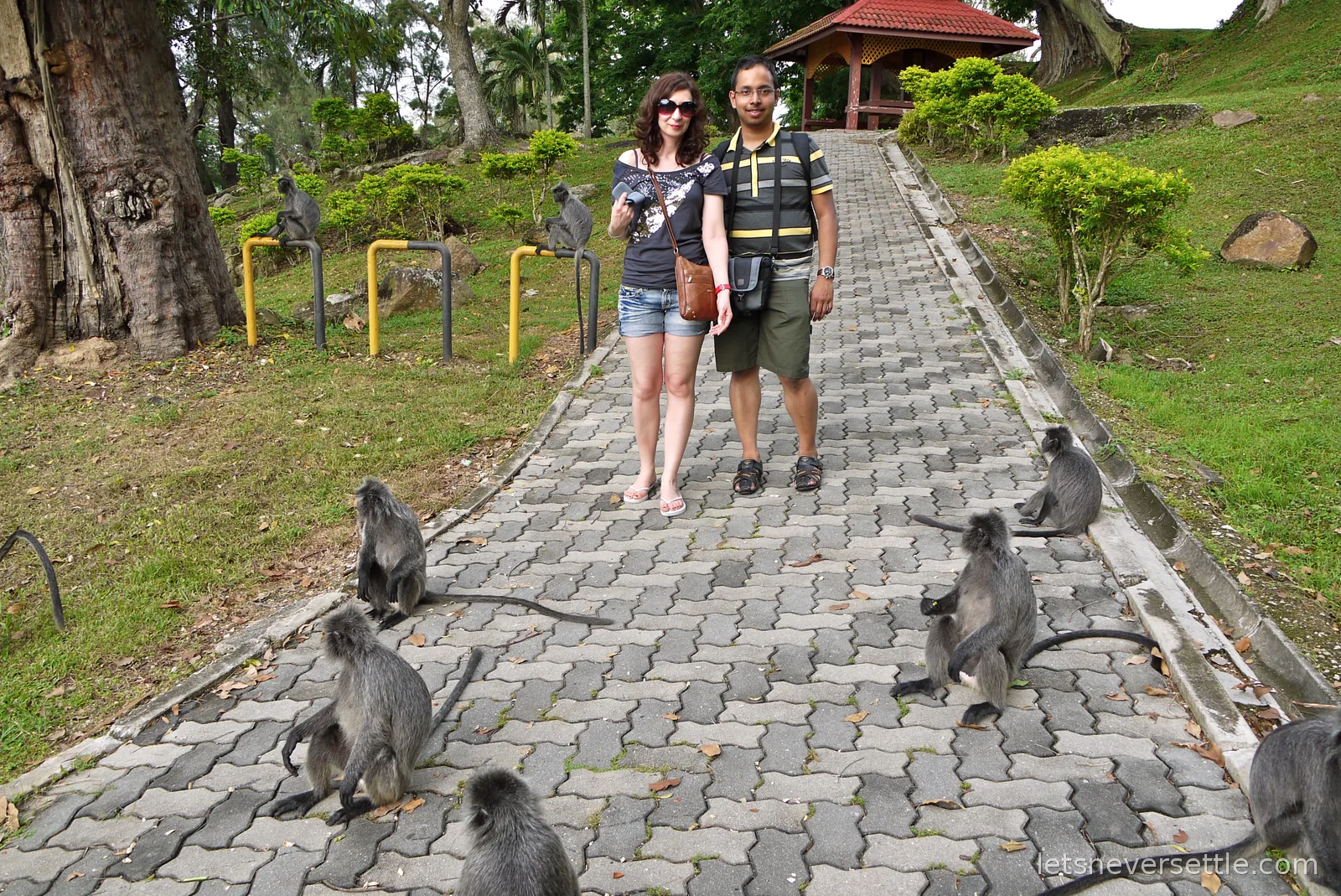 Inga and Dileep standing on a paved hilltop path surrounded by a troop of silvered leaf monkeys