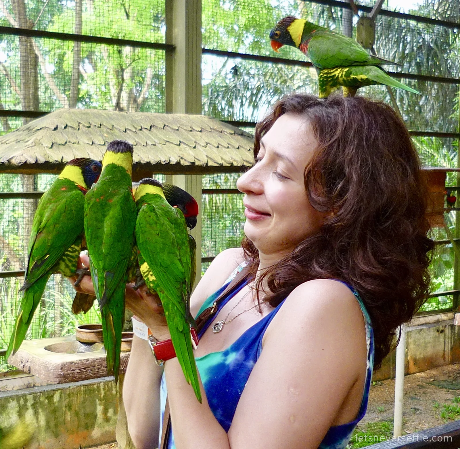 Inga laughing with colourful lorikeets perched on her arm and head at the bird park