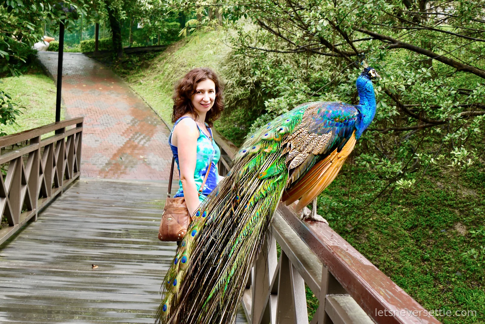 Inga standing on a wooden bridge next to a peacock perched on the railing