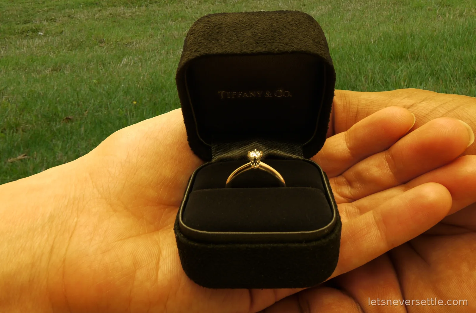 A diamond solitaire ring in a black Tiffany and Co box held in the palm of a hand above the grass