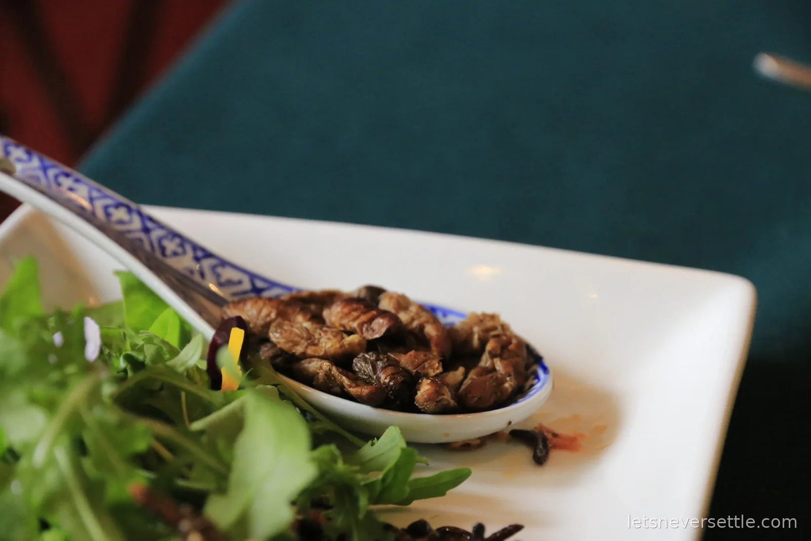 Close-up of a bowl of rocket salad topped with whole roasted insects on a patterned plate