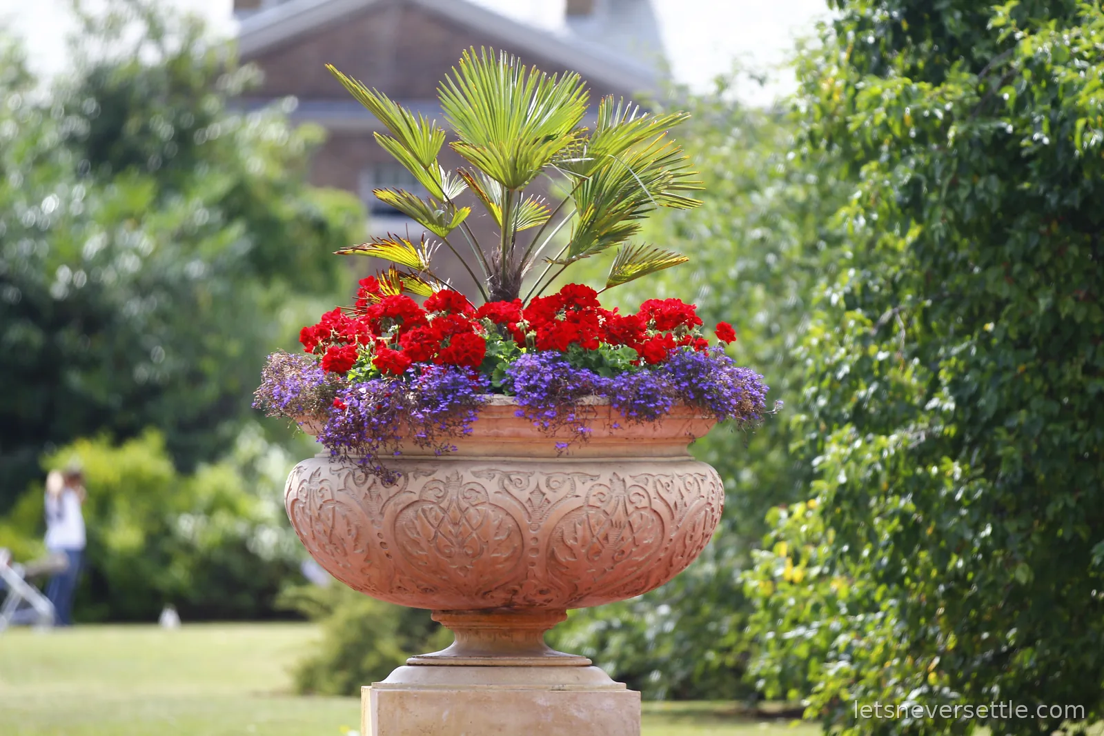 A carved terracotta urn on a stone plinth at Kew Gardens planted with red geraniums, purple lobelia and a young fan palm, a brick building blurred behind