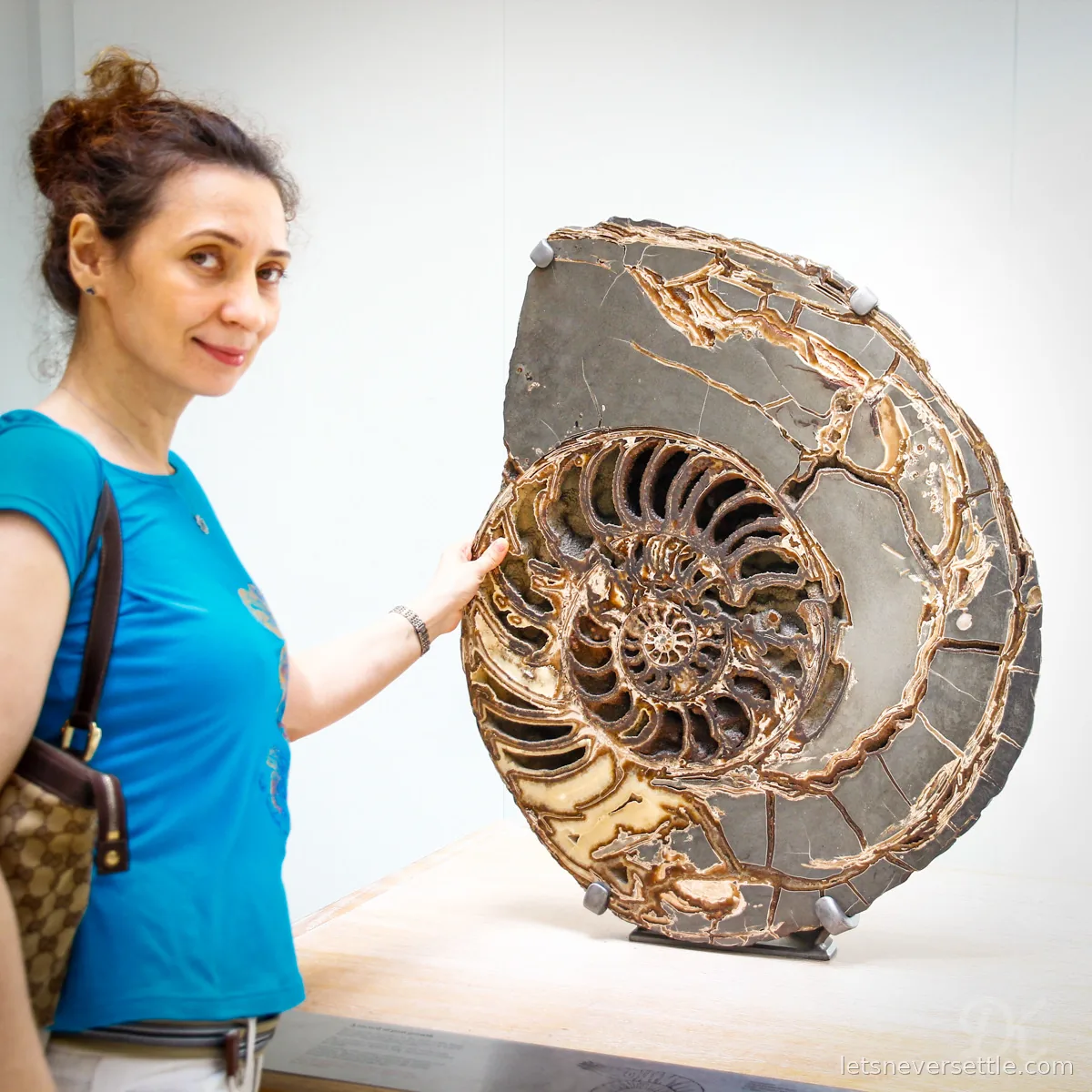 Inga resting a hand on a huge polished ammonite fossil displayed on a plinth in a bright white gallery