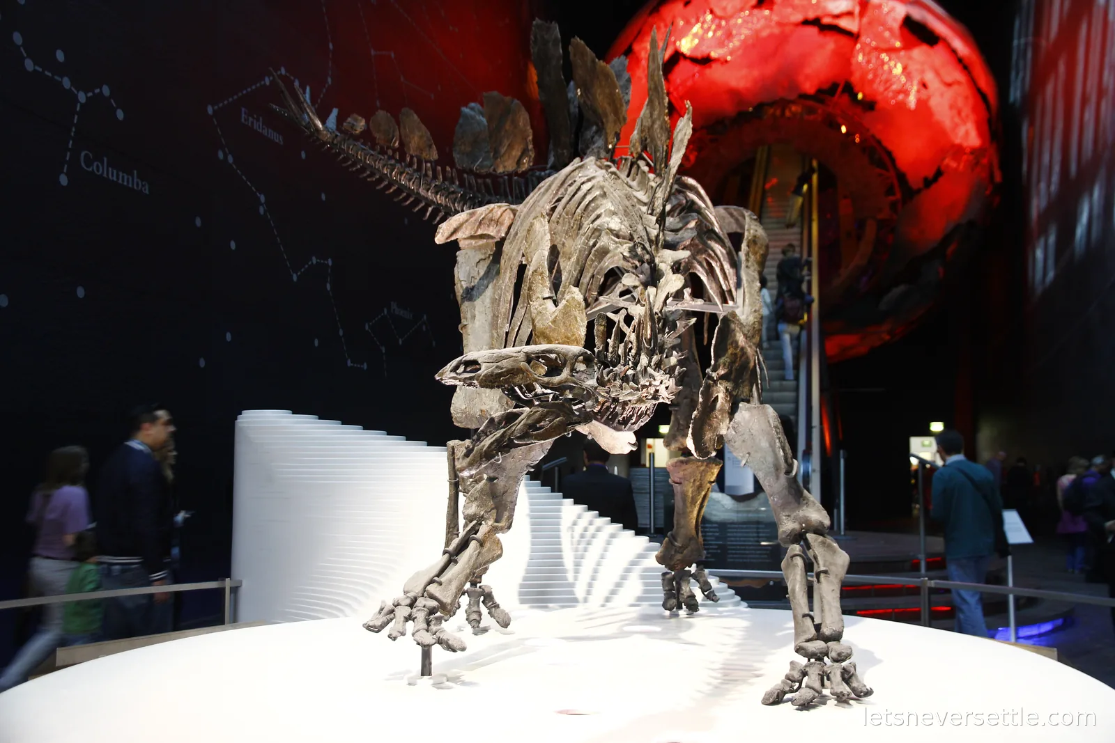 A mounted Stegosaurus skeleton with the row of plates along its back, lit against a large red planet backdrop in a dark gallery