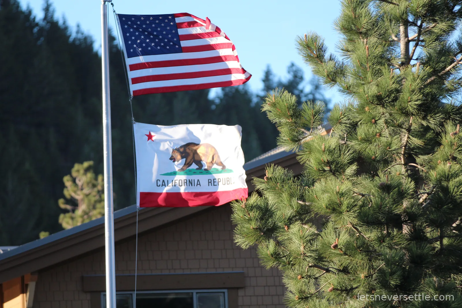 The United States flag and the California Republic bear flag flying in front of pines and a wooded mountainside