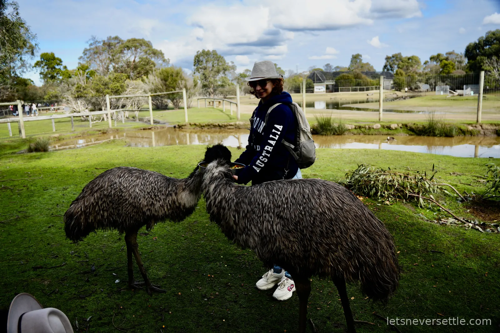 Inga in a hat holding a food cup while two large emus eat from it in a grassy paddock by a pond