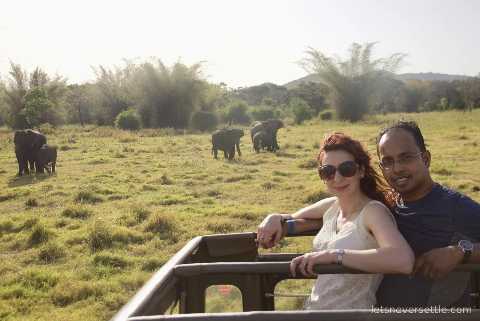 Inga and Dileep standing in the back of an open safari jeep in golden light with wild elephants grazing on the grassland behind