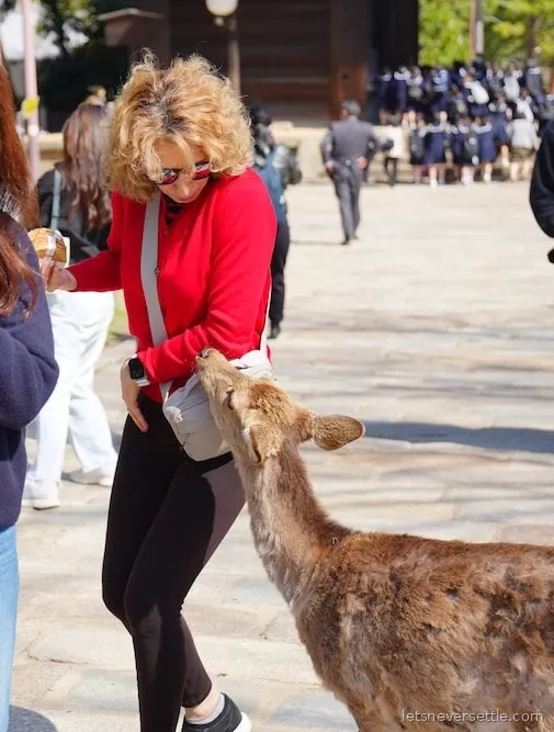 A deer in Nara nibbling at Inga’s hand and bag while she walks along a stone path, a school group passing behind