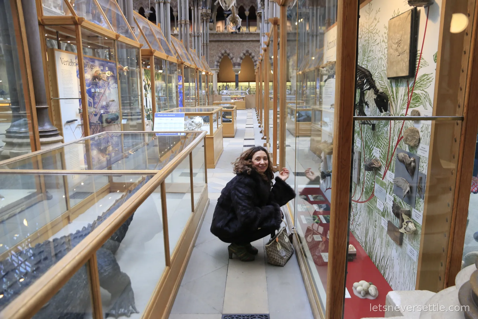 Inga crouching to study the lower shelves of a specimen case in the museum court, skeletons displayed all around