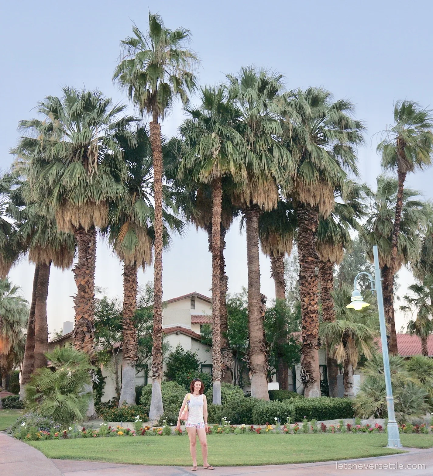 Inga standing at the base of a row of very tall palm trees with shaggy trunks