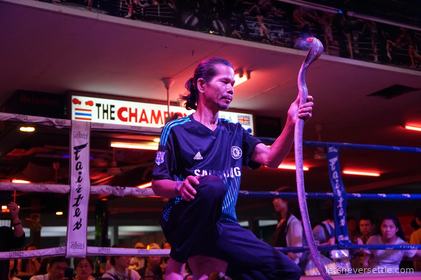 A snake handler kneeling in a boxing ring at The Champion bar in Pattaya, holding a raised cobra under pink and red lights