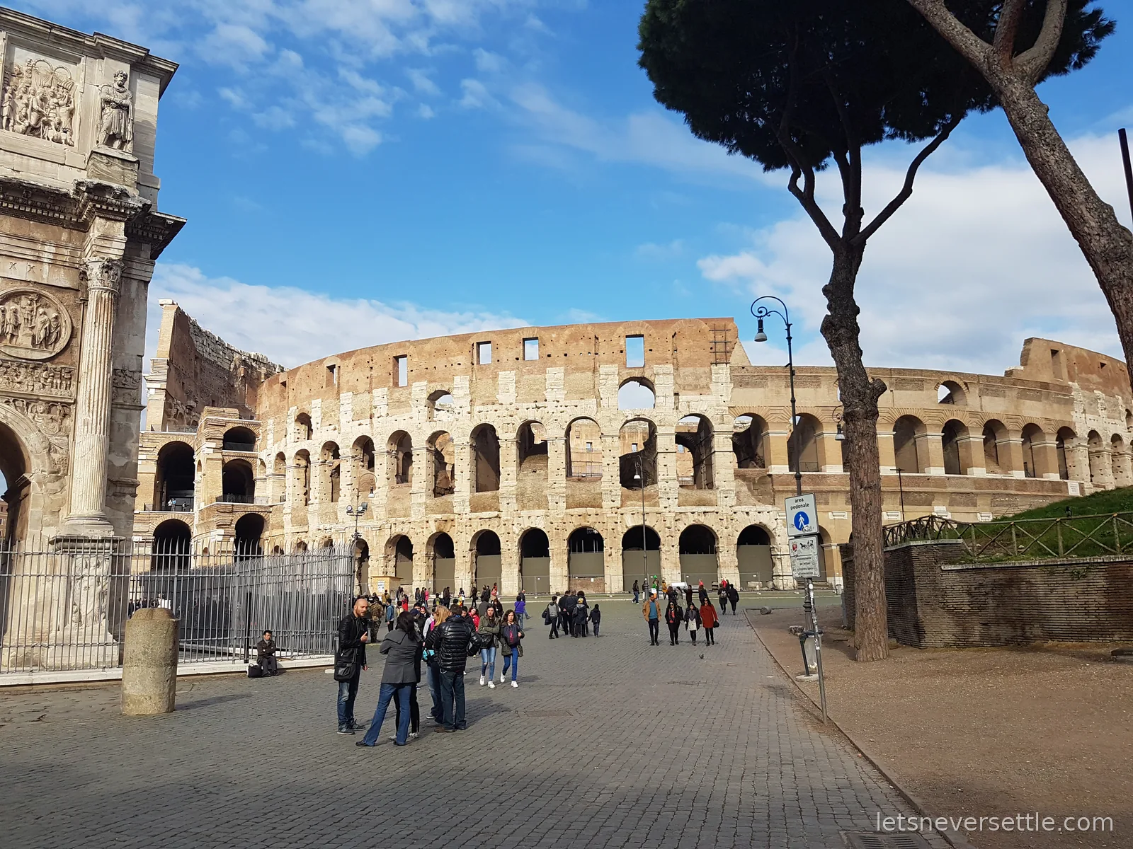 The Colosseum and the Arch of Constantine under a blue sky with an umbrella pine in the foreground