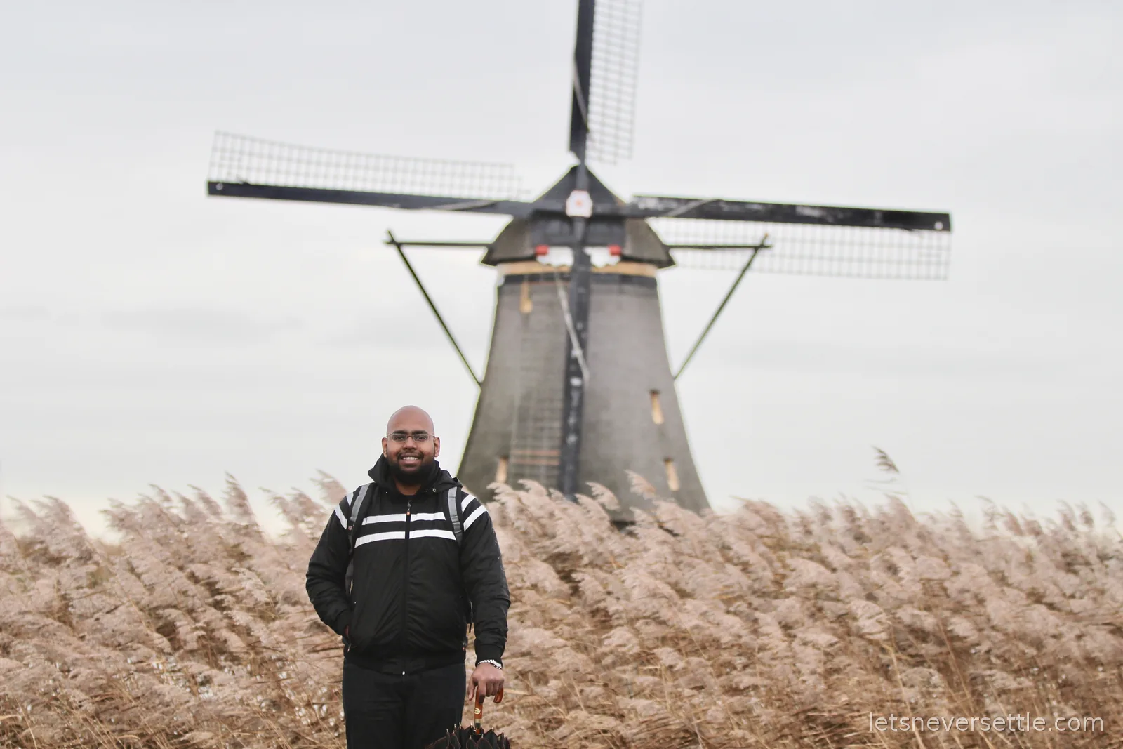 Dileep's brother in a black and white jacket standing among reed plumes in front of a tall thatched windmill at Kinderdijk
