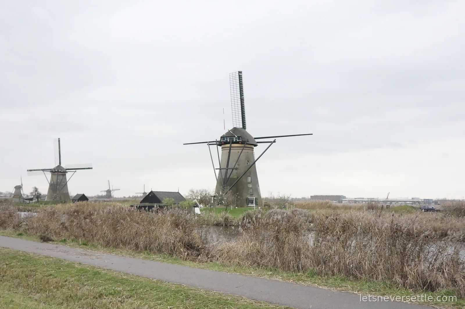 Historic brick windmills along a canal at Kinderdijk, with wooden sheds, reed beds and a paved path in the foreground