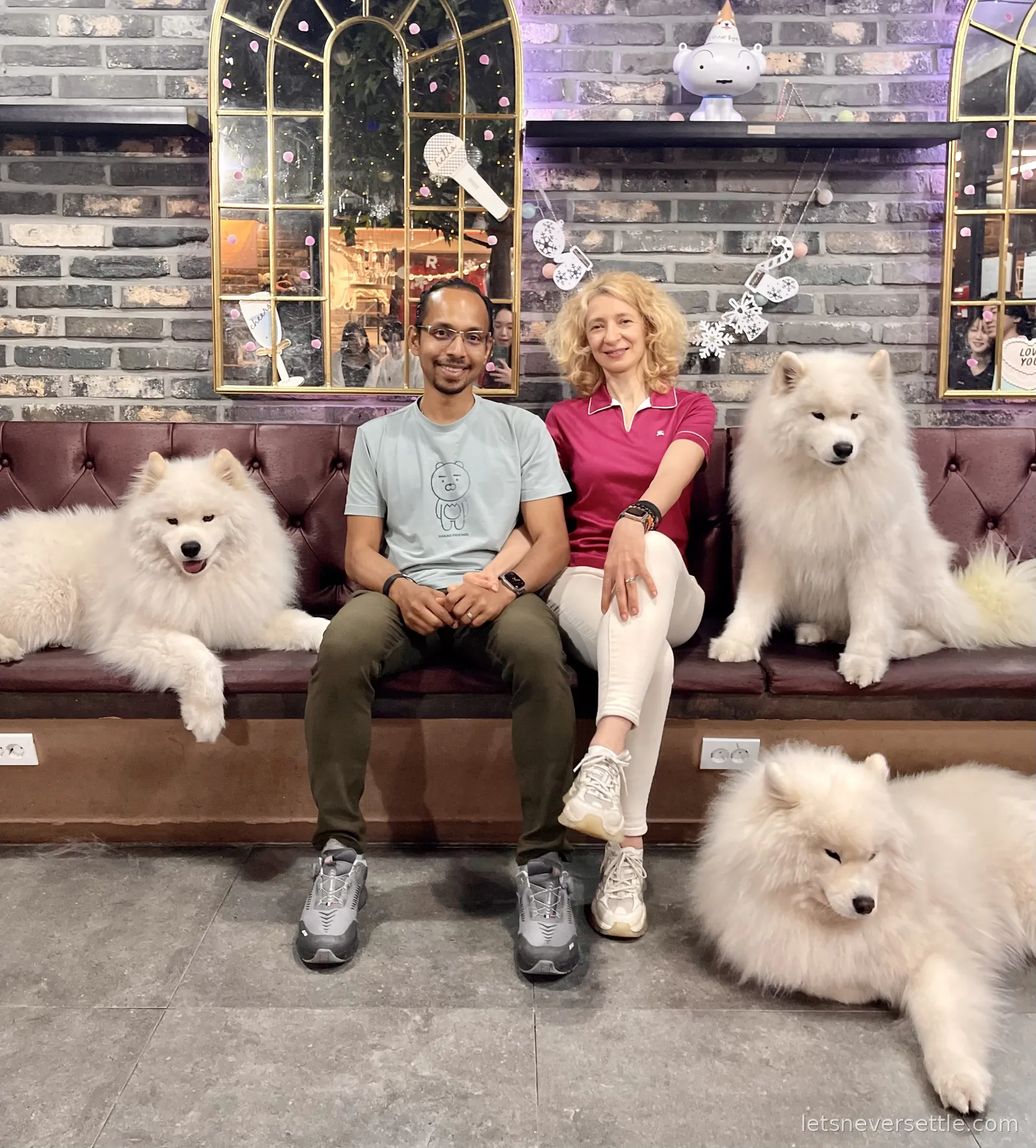 Inga and Dileep sitting on a leather bench in a Seoul dog cafe with two Samoyeds beside them and a third lying on the floor