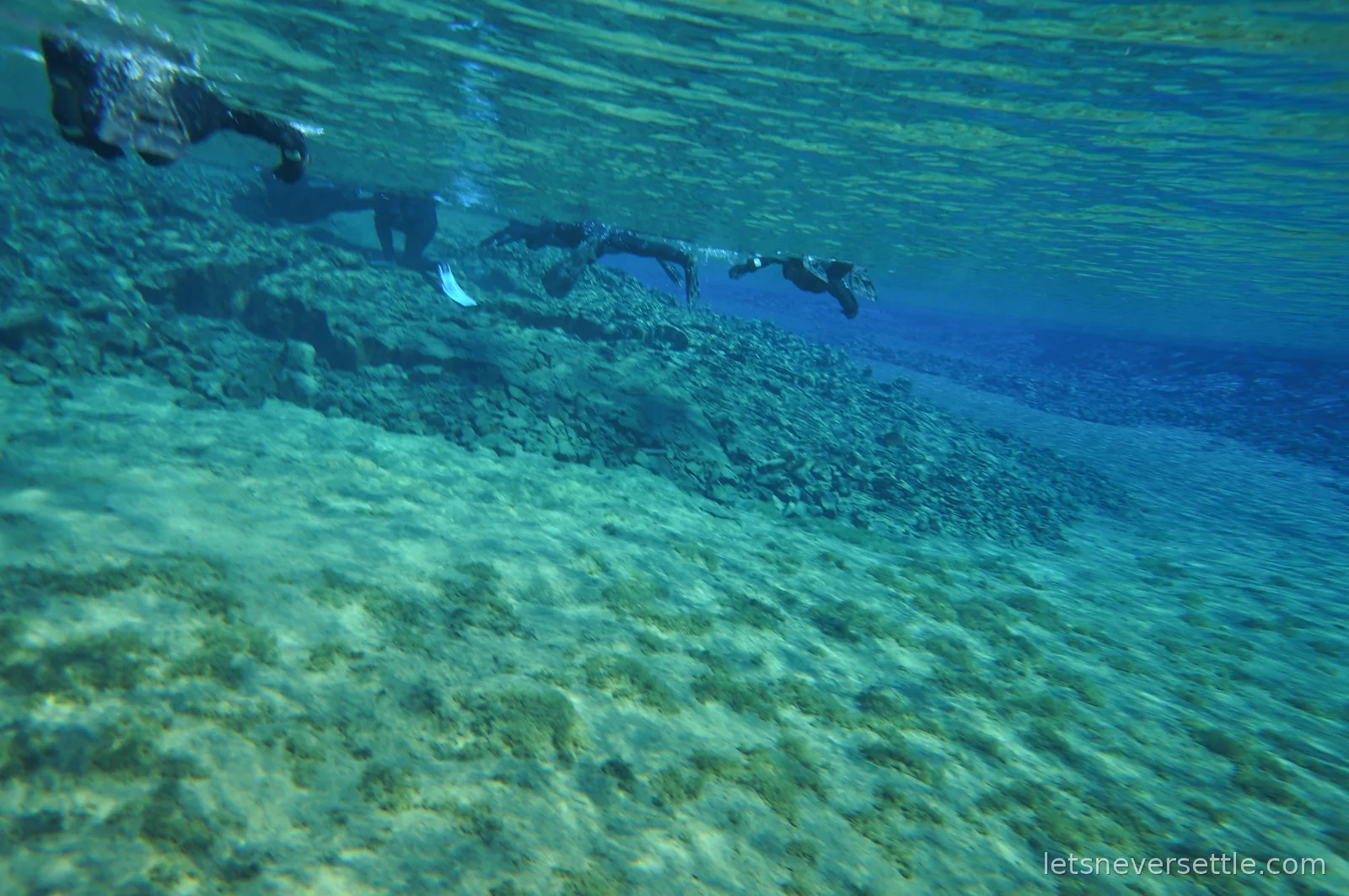 Snorkellers gliding over a pale gravel and rock bottom in bright shallow water at the end of the Silfra fissure