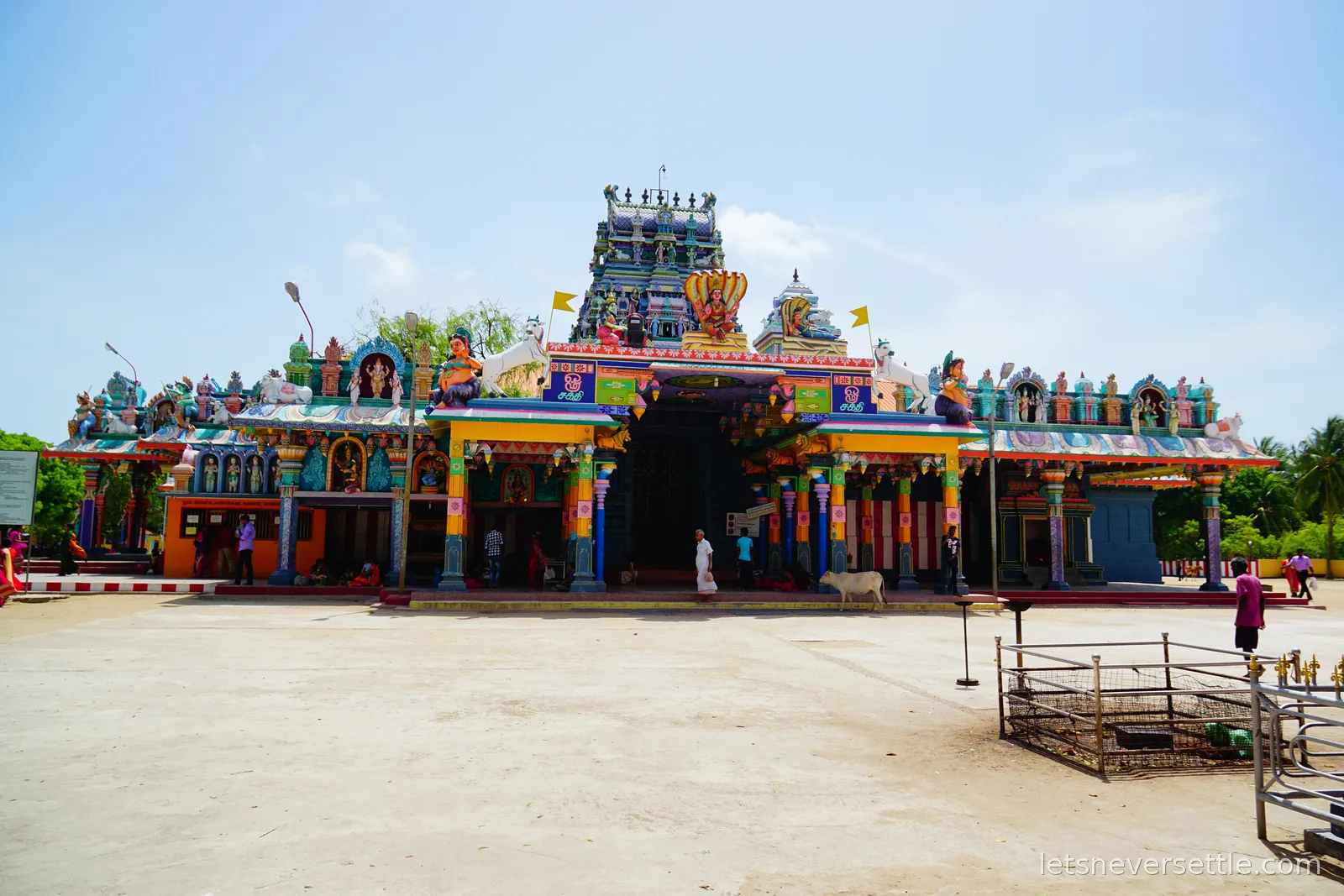 The wide painted frontage of Nagapooshani Amman Kovil with its gopuram tower, yellow flags and rows of carved pillars, a cow standing in the middle of the empty sandy forecourt