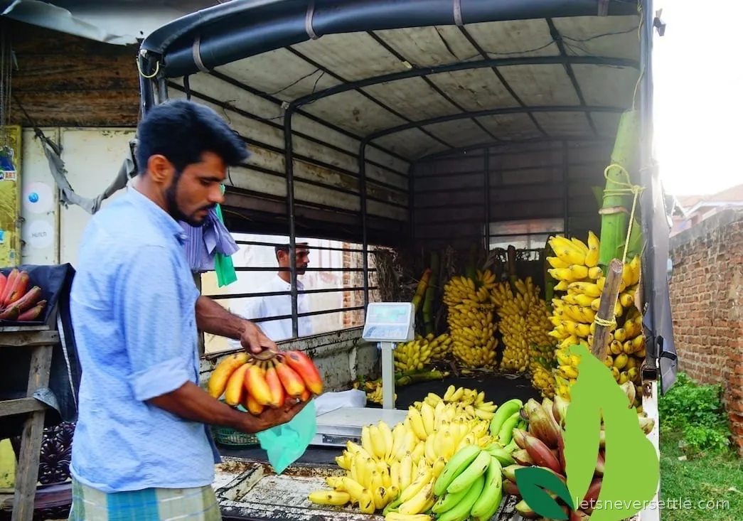 A man sorting bunches of yellow and green bananas on a table at a covered market stall in Sri Lanka
