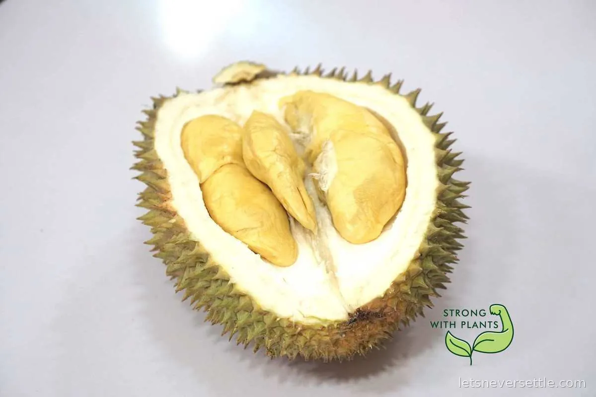 Segments of Sunset D18 durian flesh laid out on a tray, deep yellow and glossy