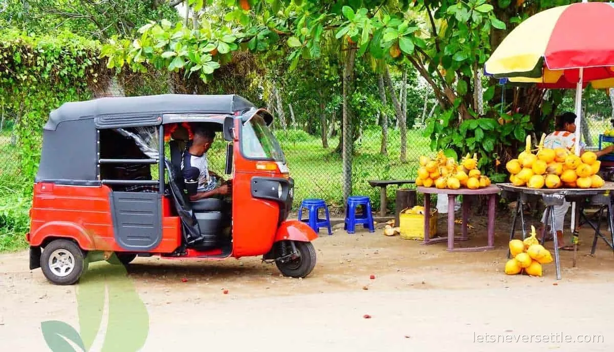 A red tuk-tuk parked beside a roadside stall in Sri Lanka piled high with bright orange king coconuts under a striped umbrella