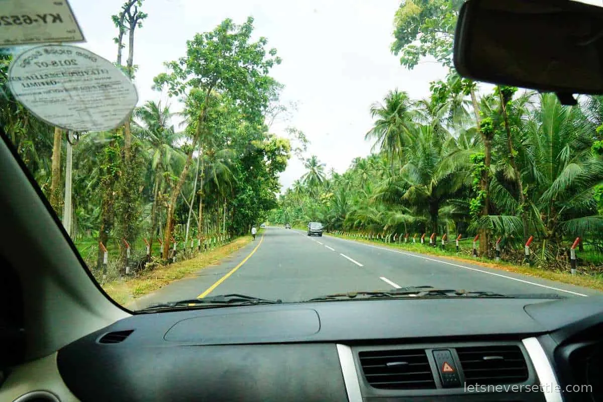 A tree-lined road in Sri Lanka seen through a car windscreen, empty and stretching ahead
