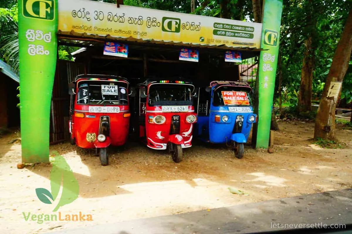 A line of red and blue three-wheelers parked in a row at a stand in Sri Lanka