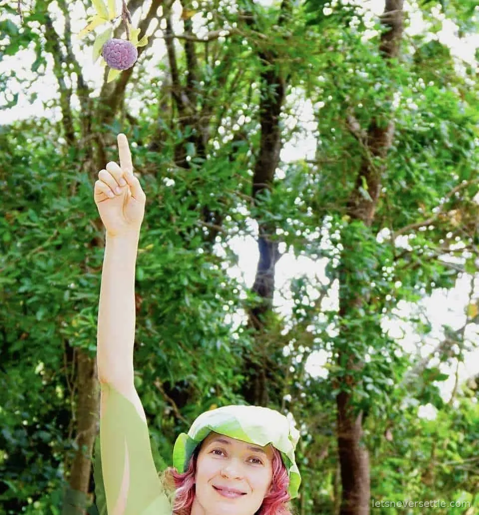 Inga pointing up at a custard apple hanging high in a tree in Sri Lanka
