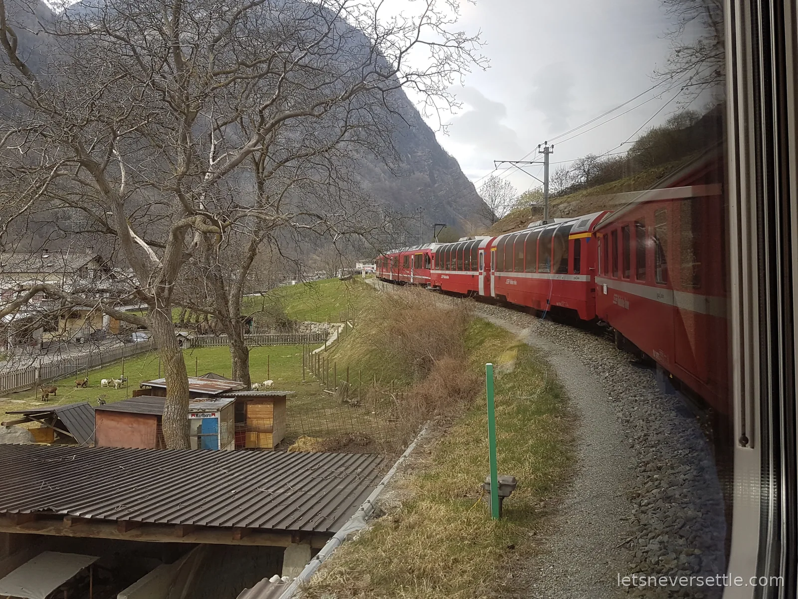View from a train window along the curving red carriages, passing bare trees, sheds and a green pasture with a steep dark mountainside above