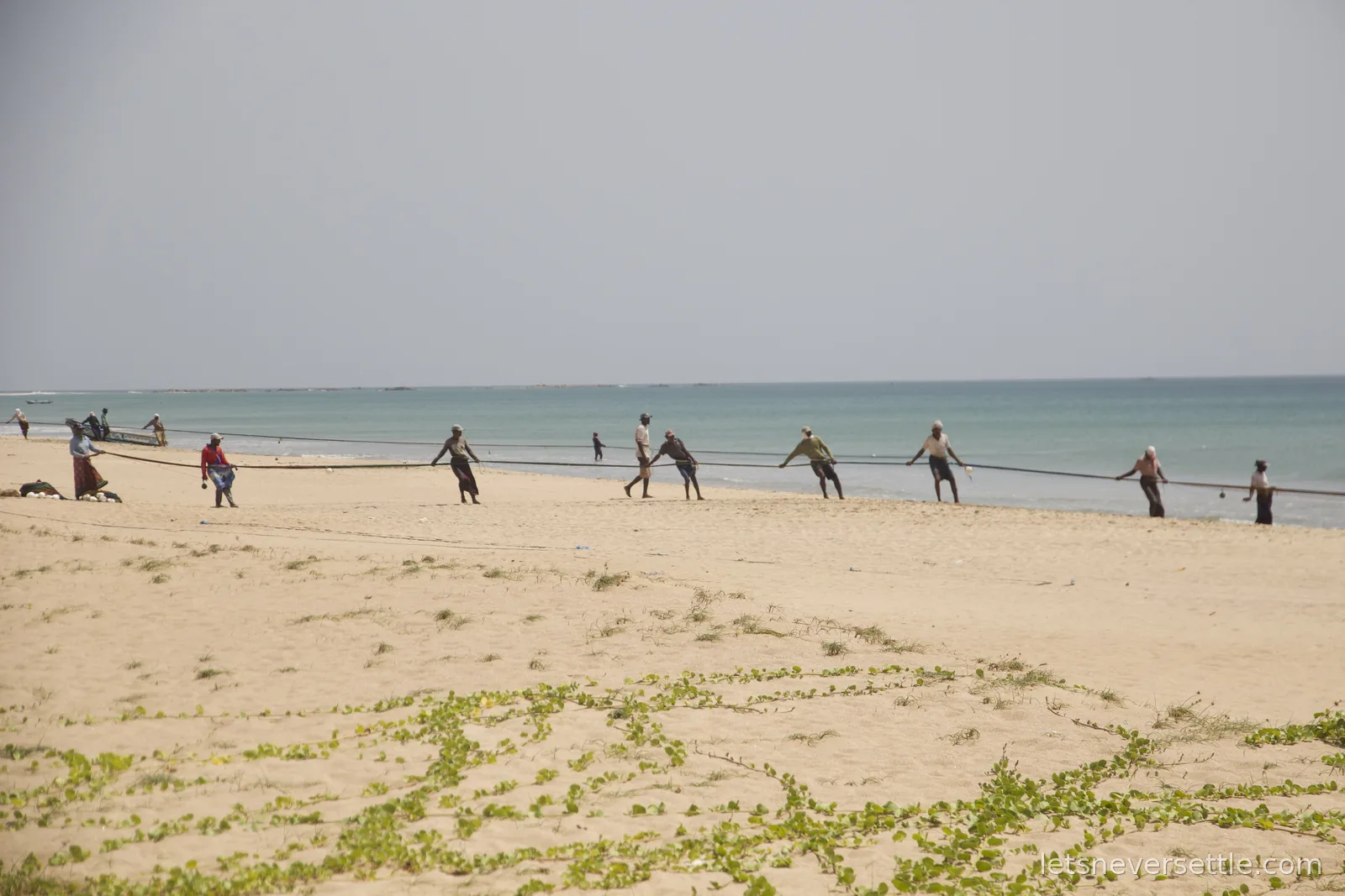 A line of fishermen spaced along a sandy beach hauling a long seine net in from the sea