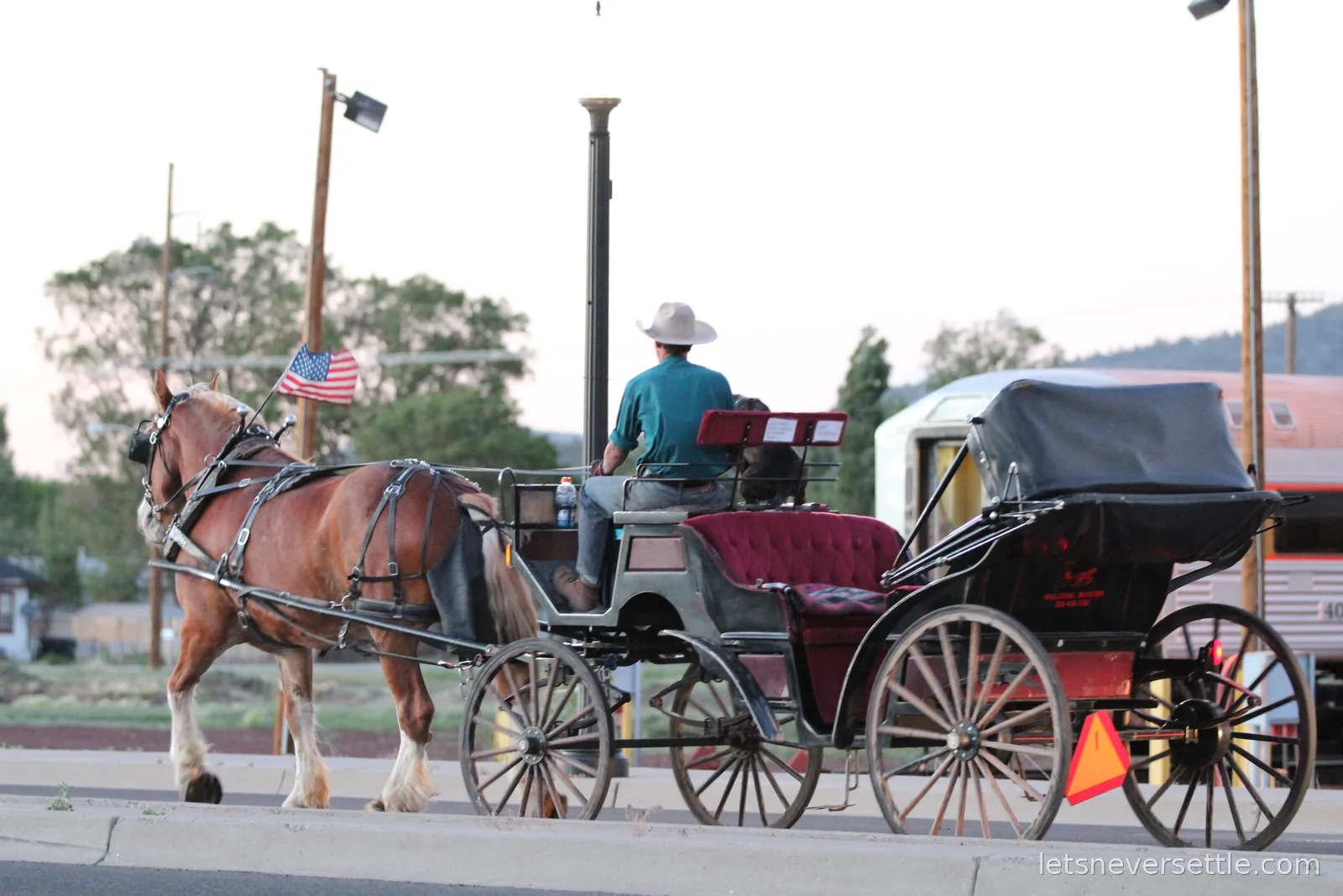 A driver in a cowboy hat taking a horse-drawn carriage with an American flag down a Williams street at dusk