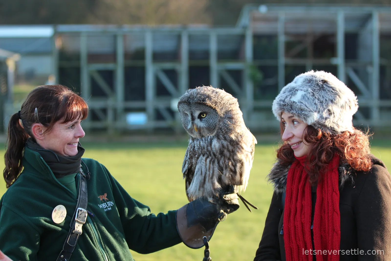 A Woburn keeper in a green fleece holding a great grey owl on her glove while Inga, in a fur hat and red scarf, leans in smiling