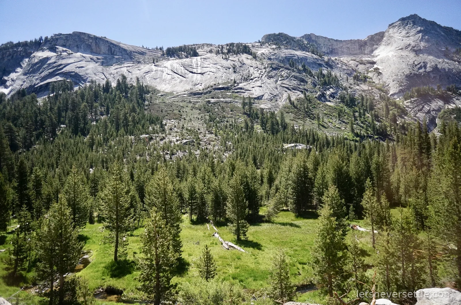 Bare granite domes rising above a bright green meadow and conifer forest